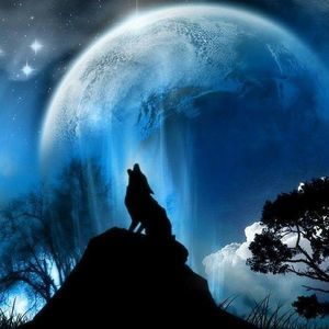 Meet your Posher, Ana karla